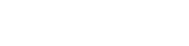 DIALux evo